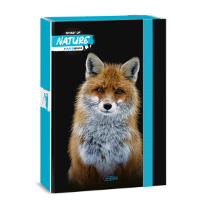 Školský box A4 SPIRIT OF NATURE FOX ARS UNA