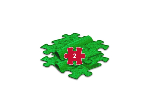 Sada ortopedických podložiek - Hadí nadstavec